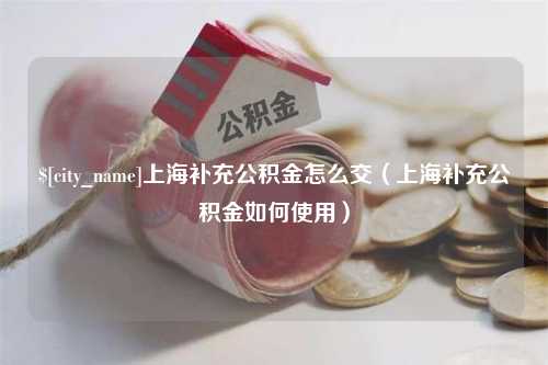 日照上海补充公积金怎么交（上海补充公积金如何使用）